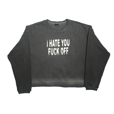 Свитшот Stuff lab HATE